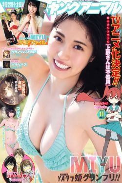 孔雀归来又逢君