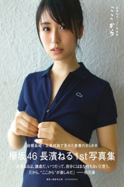 金花瓶楷梅花2免费