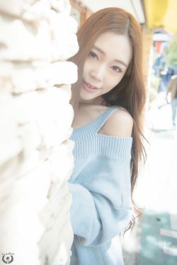 1V2高HP系统