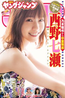 九部的检察官