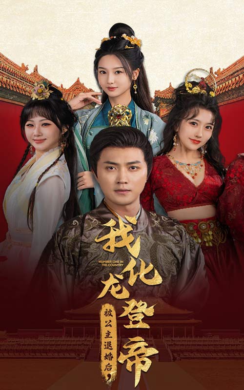 被公主退婚后，我化龙帝